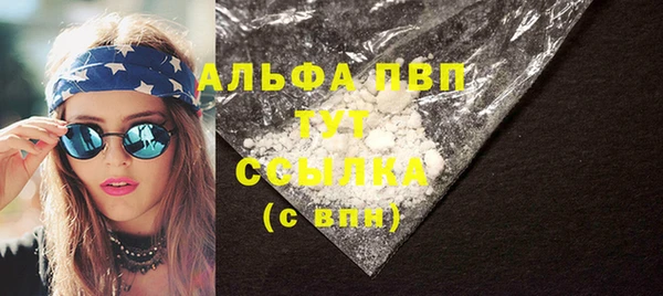 стаф Нефтегорск
