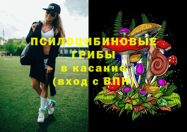 a pvp Абинск
