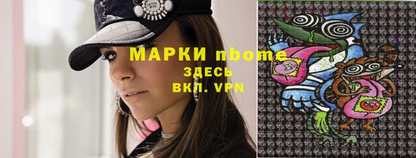 мдпв Абаза